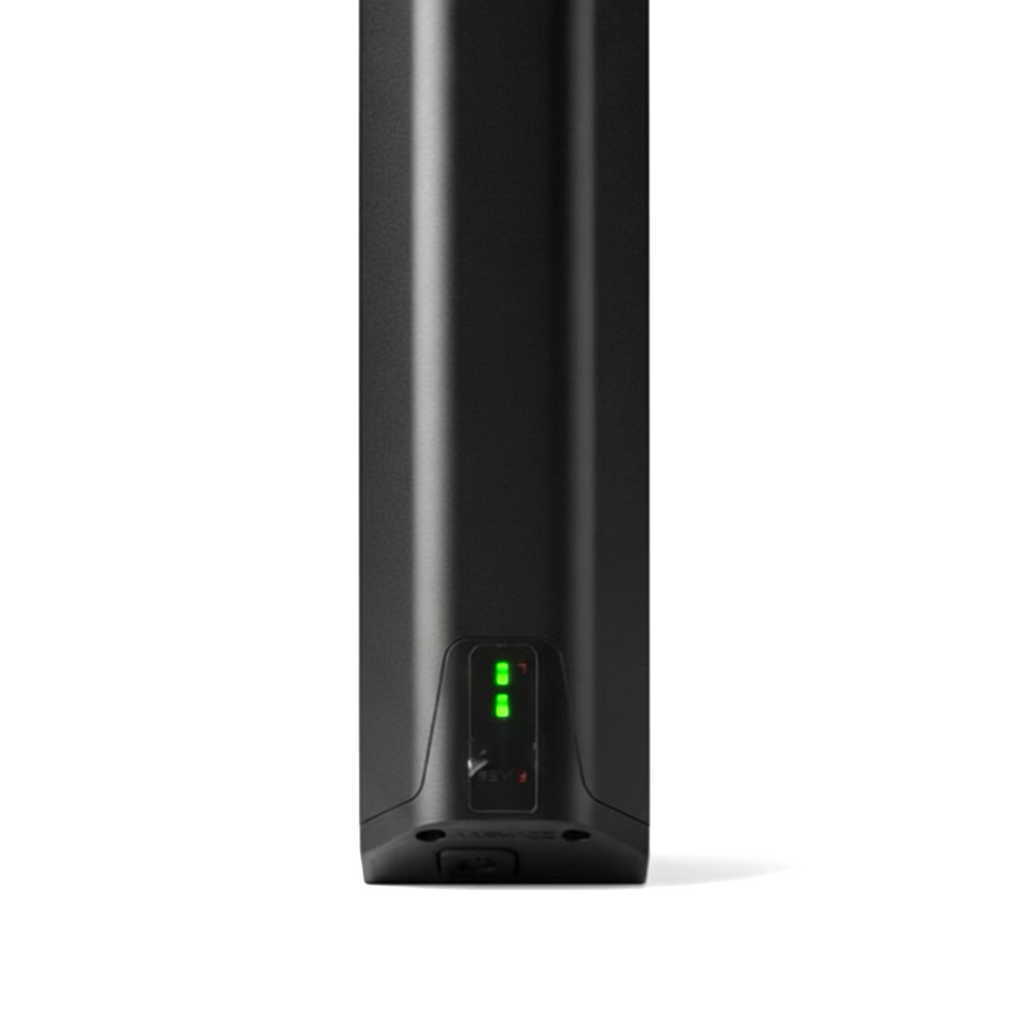 Batterie vélo électrique 36V BMZ compatible système électrique
